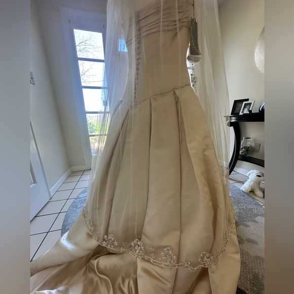 Stephen Yearick Strapless Wedding Gown and Veil - NWT- Champagne Color - Picture 13 of 16